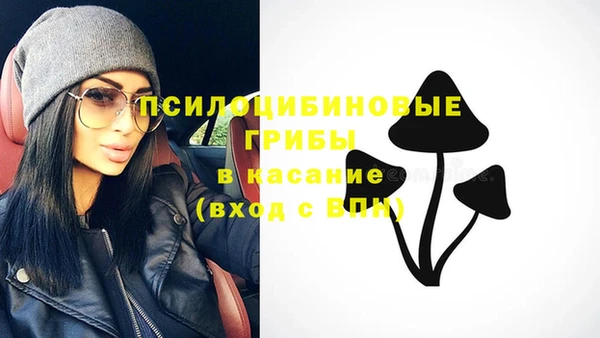 spice Армянск