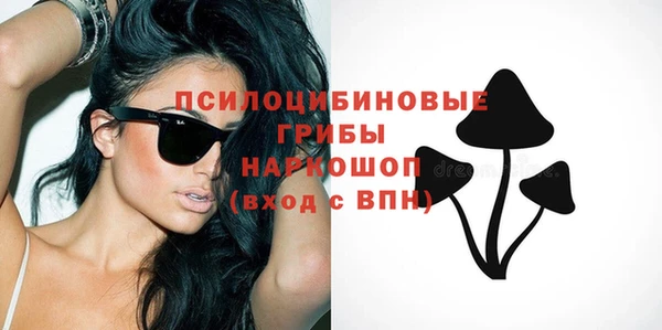 мдпв Арсеньев