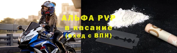 стаф Аркадак