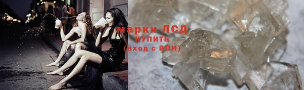 стаф Аркадак