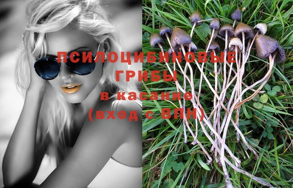 мдпв Арсеньев