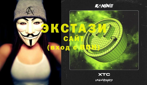 стаф Аркадак