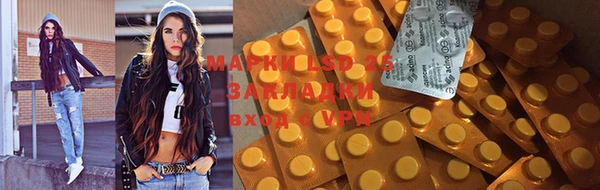 стаф Аркадак
