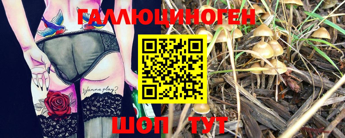 Галлюциногенные грибы мухоморы  Вход с VPN  Галлюциногенные грибы прущие грибы  купить наркотик  Кыштым 